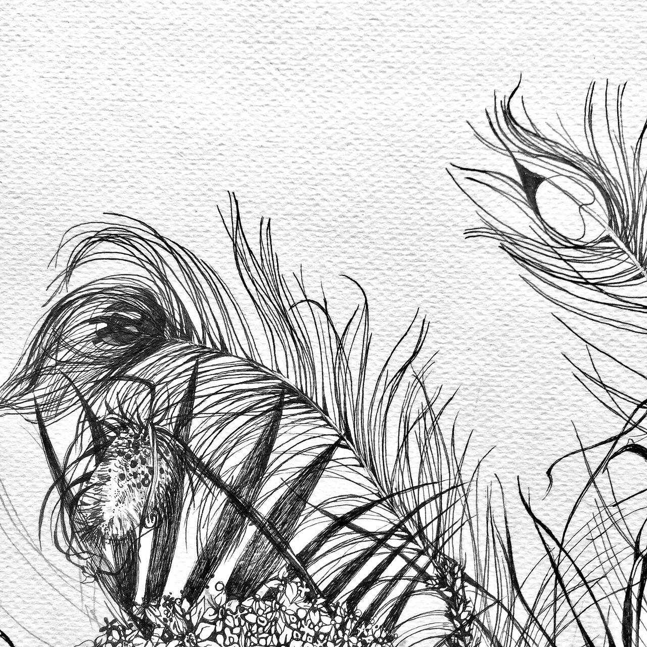 一岁一枯荣（图ZNzUyNDQyNDg=） - 商业插画 - 站酷设计师chang晶原创素材 - 站酷ZCOOL