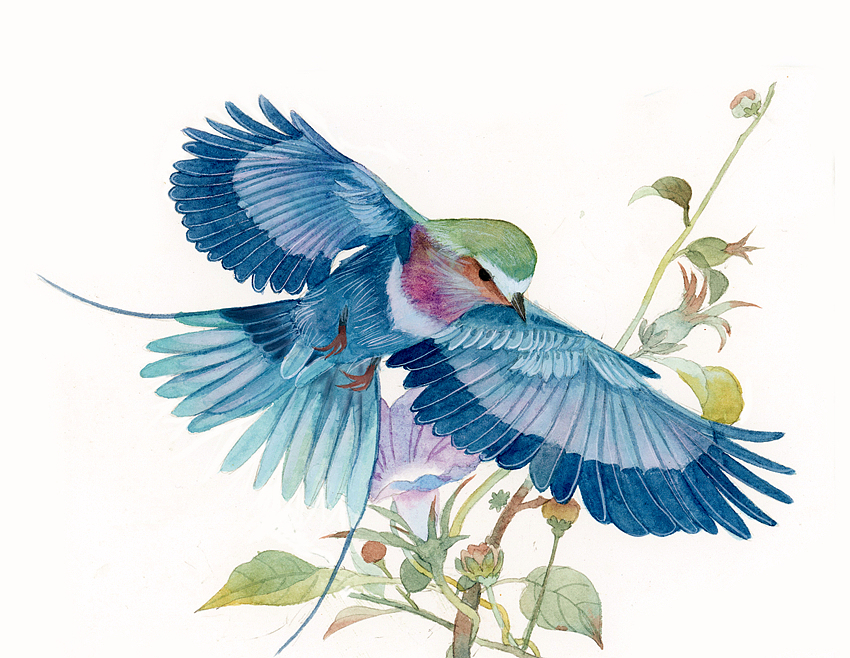 2019年终插画总结（图ZMTkxNDE0OTY0） - 商业插画 - 站酷设计师瑶背背原创素材 - 站酷ZCOOL