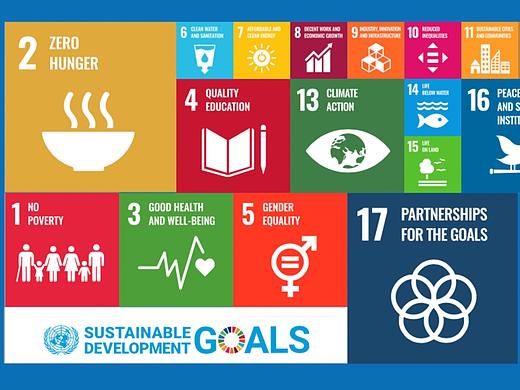 UN WFP_Motion Graphic 联合国粮食计划署南南合作项目