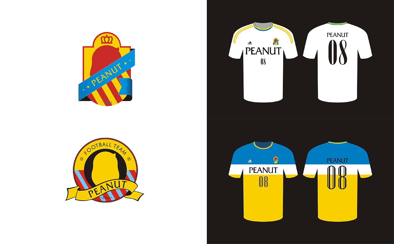 花生无线（图ZNDI0OTYyNzY=） - APP界面 - 站酷设计师正南君原创素材 - 站酷ZCOOL