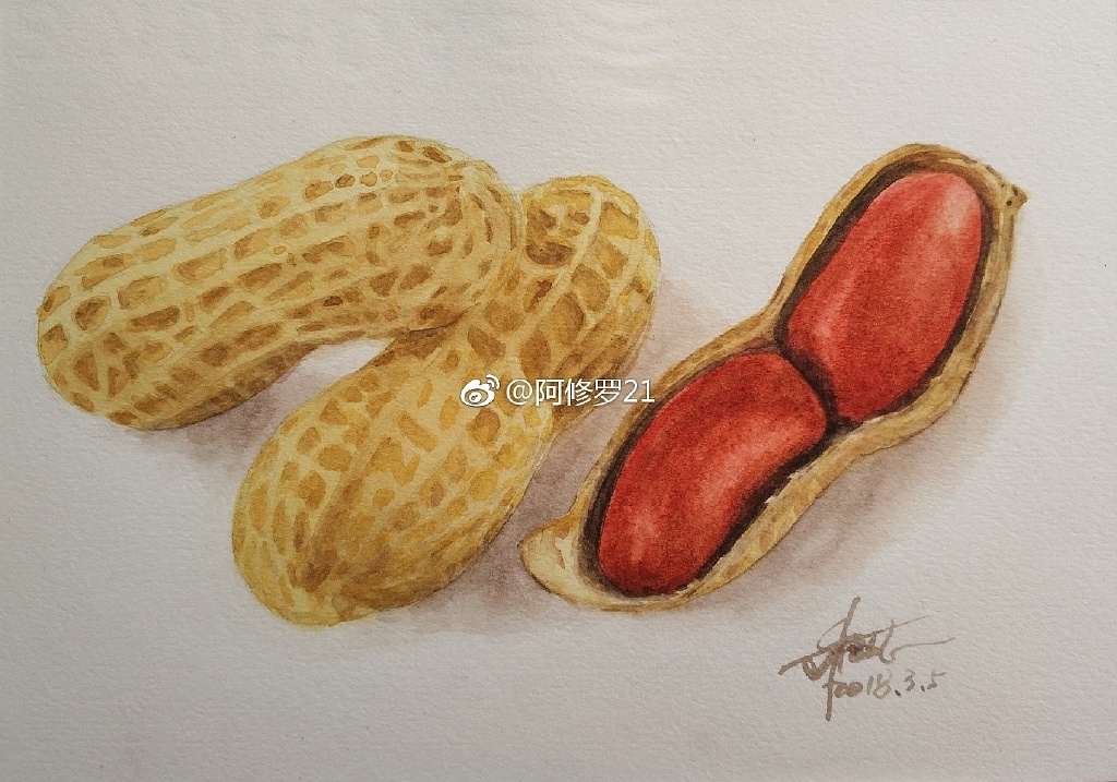 水彩坚果（图ZMTU1ODQxNzI0） - 绘画 - 站酷设计师阿修罗21原创素材 - 站酷ZCOOL
