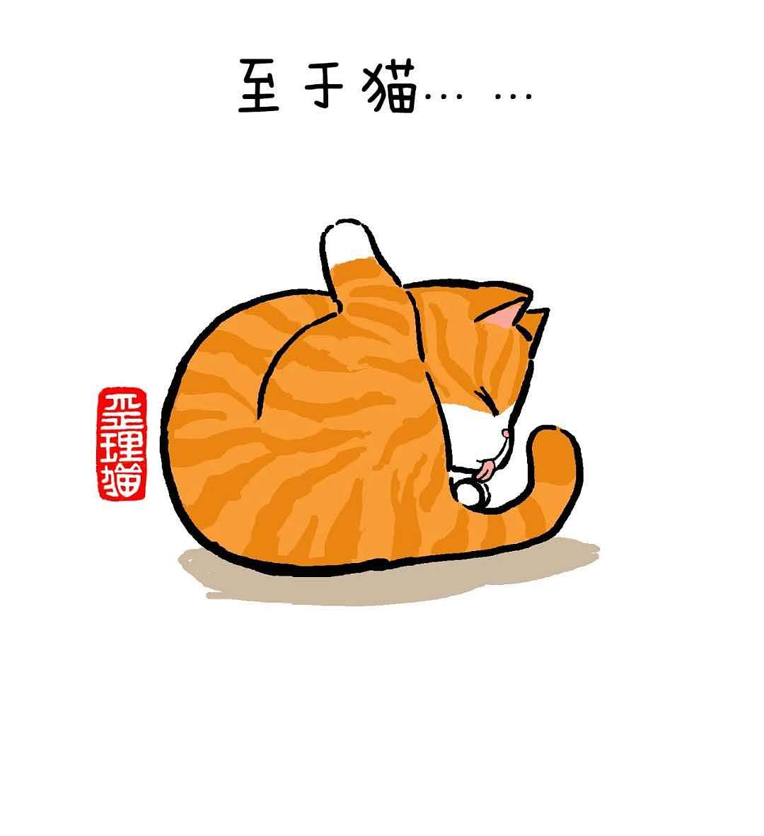 猫和狗还真是不一样!