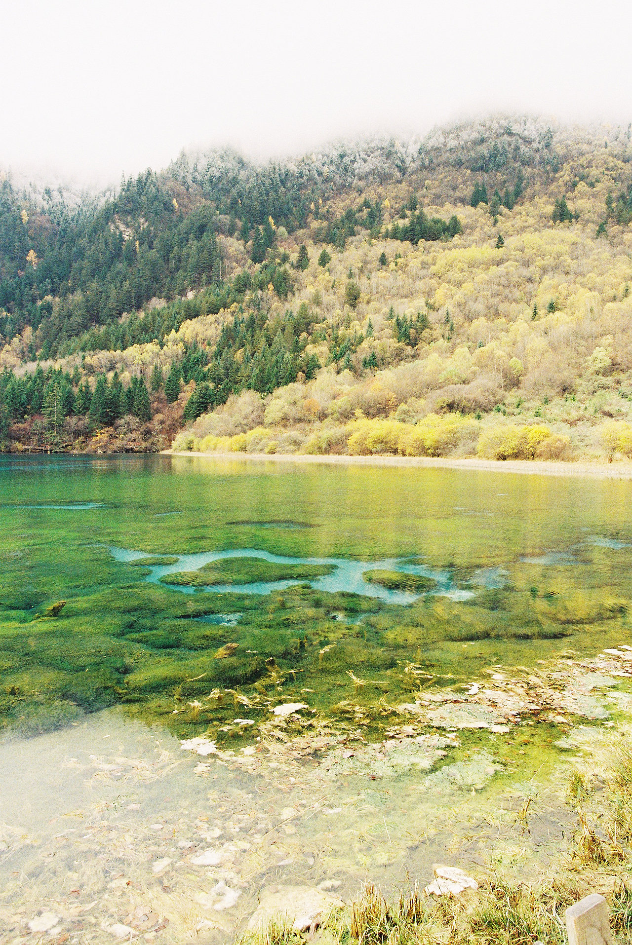 九寨天堂（图ZMTQzNzExNTI=） - 风光摄影 - 站酷设计师沈师傅么么茶原创素材 - 站酷ZCOOL