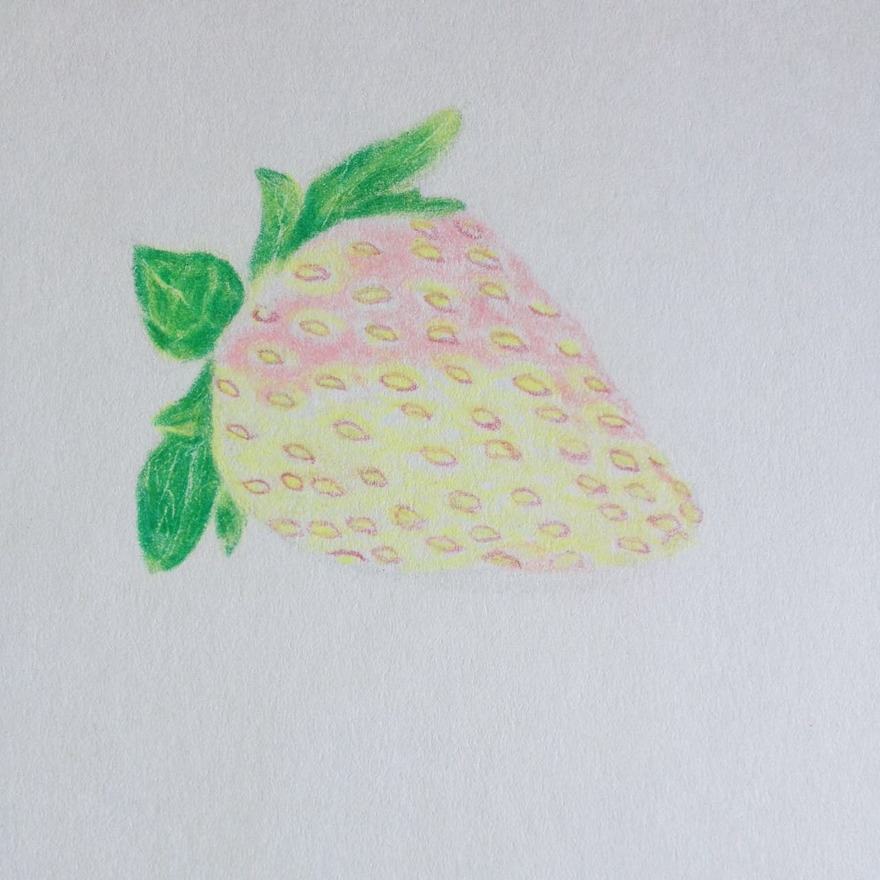 【彩铅教程】甜甜草莓