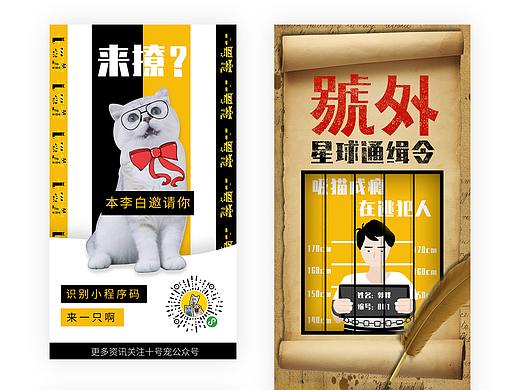 【十号宠】关于我们