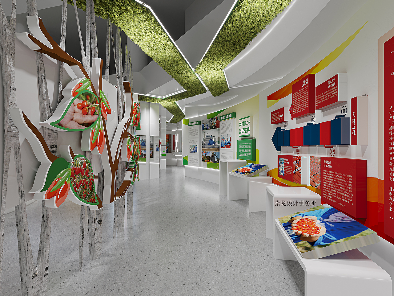 枸杞展厅设计