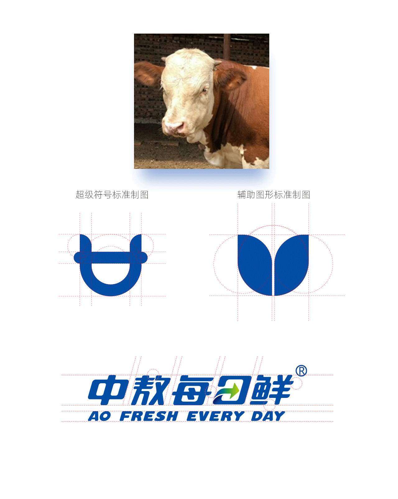 中敖每日鲜品牌视觉全案