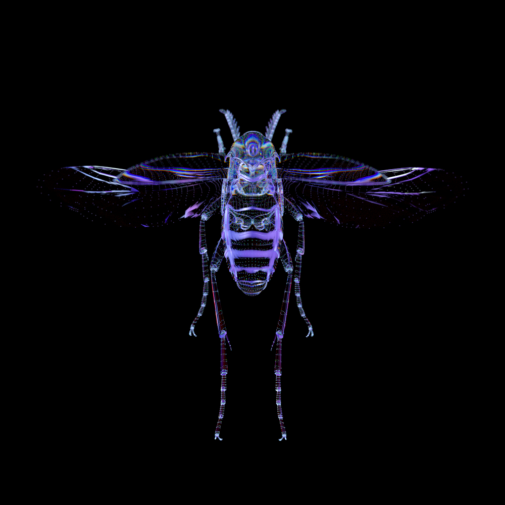 昆虫 魔顿下载的模型 Momentor的教程（图ZMjA2NTU5MjA4） - 人物/生物 - 站酷设计师源视OV原创素材 - 站酷ZCOOL