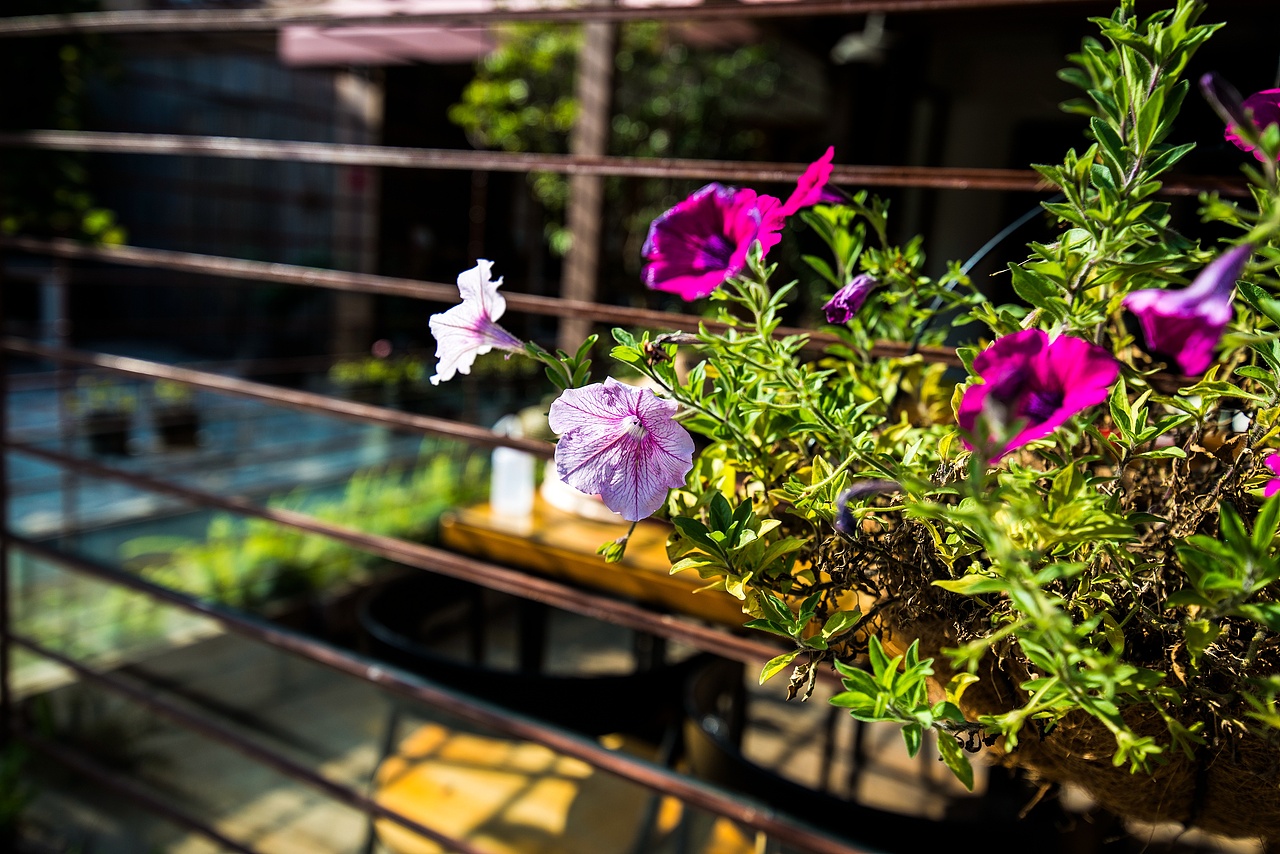 一路向东，骑行大鹏、校场尾与官湖（图ZNjUwMTgyMjA=） - 风光摄影 - 站酷设计师品木创意摄影原创素材 - 站酷ZCOOL