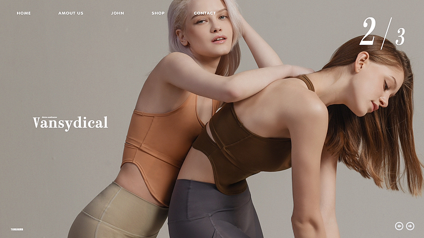 Vainsydical运动瑜伽 内衣双人模特拍摄 全案+KV