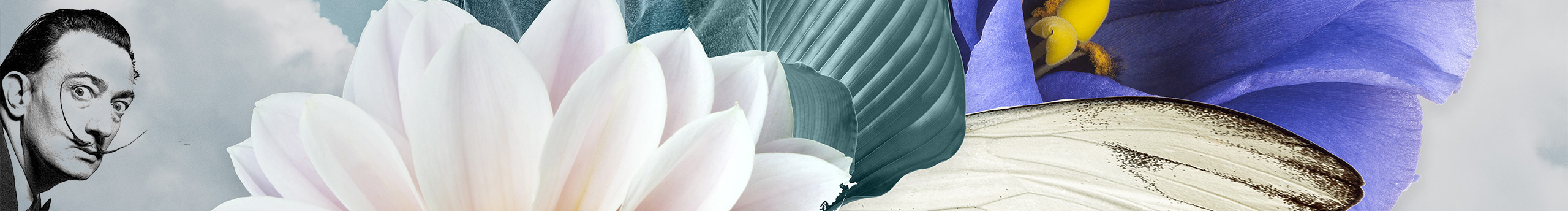 ZILONGGEGE的個人主頁（封面預(yù)覽） - 主頁封面設(shè)置 - 站酷設(shè)計師ZILONGGEGE原創(chuàng)素材 - 站酷ZCOOL