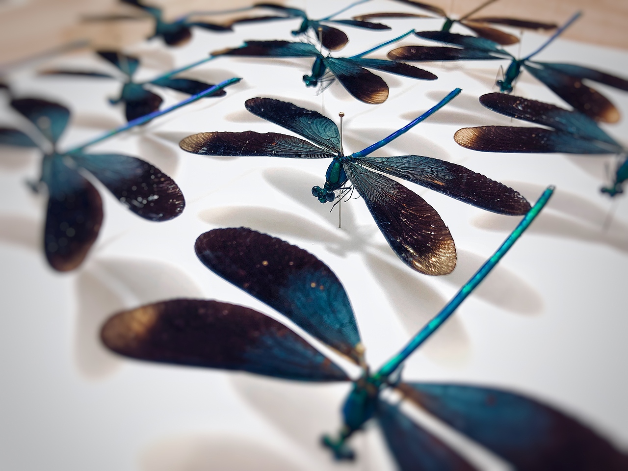 建筑与自然共生 . 离梦想又近一步!! !