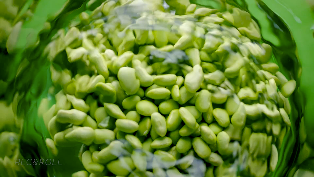 幸会 · 新荟 预告片(Director’s Cut)