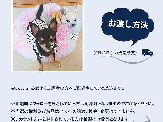 ins招募海报（个人主页-ZNTEwNzEzMjA=） - 海报 - 站酷设计师winnie林嘉树原创素材 - 站酷ZCOOL