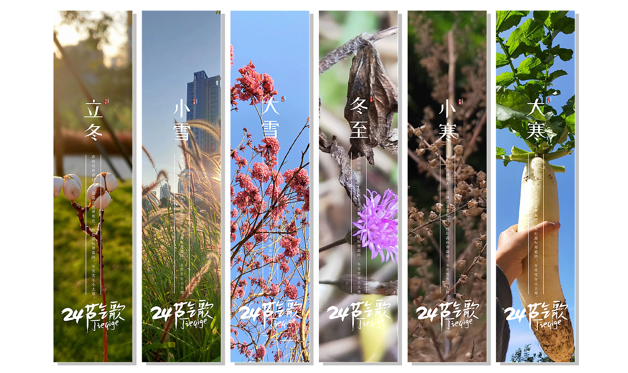 24节气之镜头下（图ZMjYzNzgzMjY0） - 人文/纪实摄影 - 站酷设计师杞子呆呆原创素材 - 站酷ZCOOL