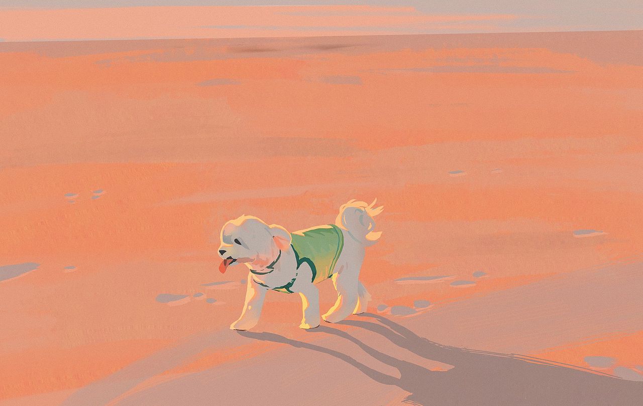 色彩60天挑战赛