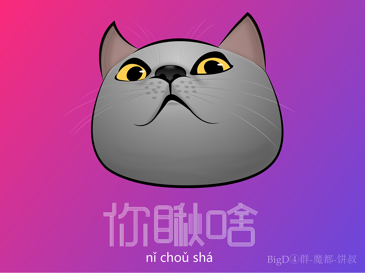 家有爱猫,名叫伍拾