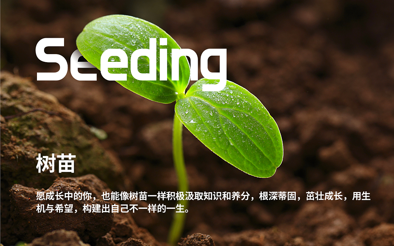 阳光书院标志设计 by 心铭舍(图ZMTE5OTY1ODc2) - Logo - 站酷设计师伏食FOUNGSEE原创素材 - 站酷ZCOOL