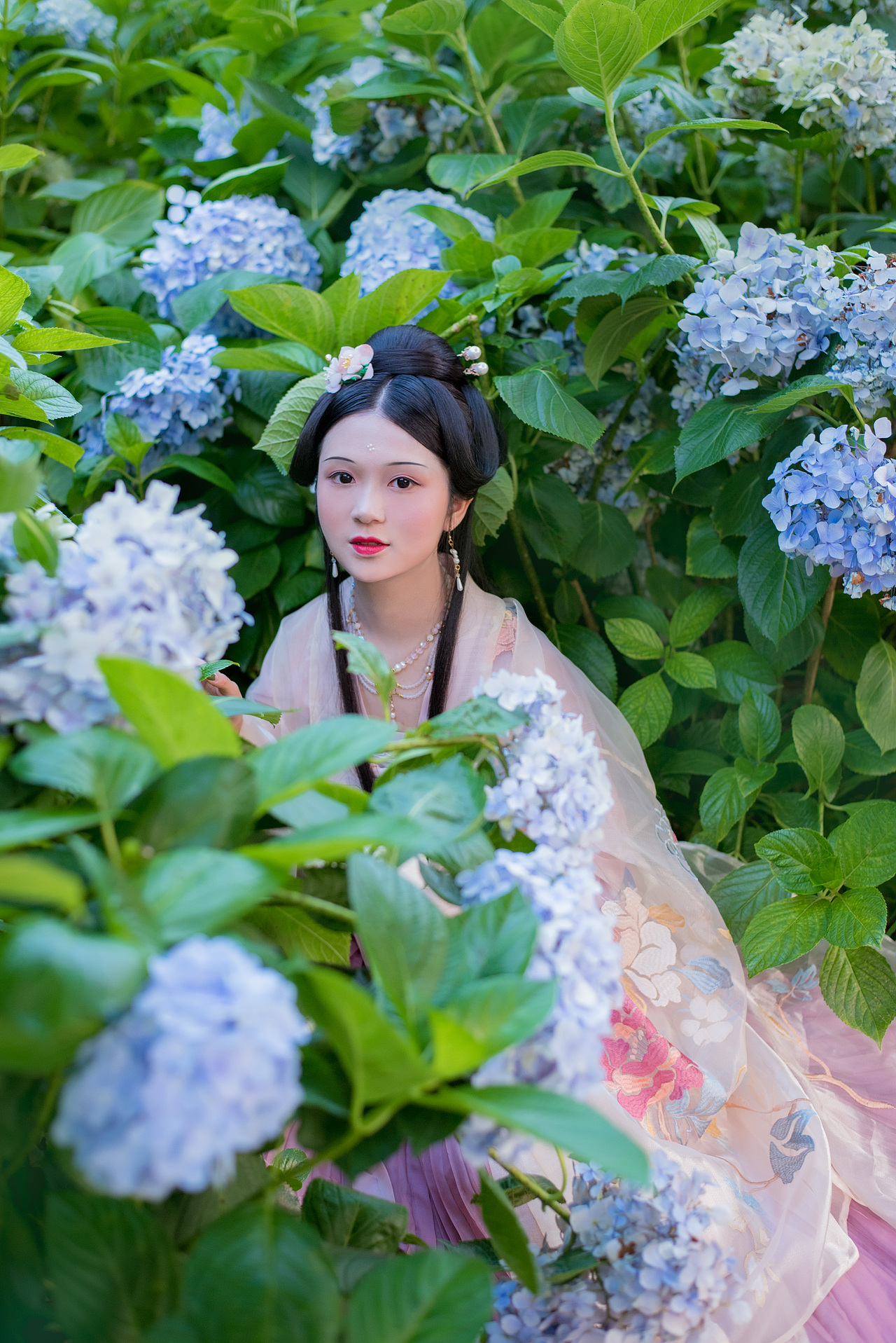 客\绣球花（图ZMTY2NjkxNzAw） - 人像摄影 - 站酷设计师荮桑不是药桑原创素材 - 站酷ZCOOL