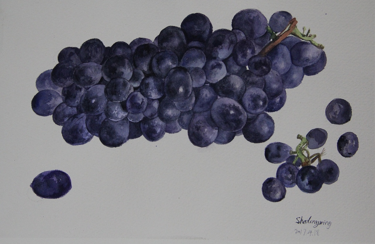 水彩葡萄