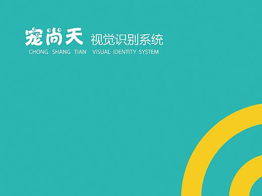 毕业设计-校企合作VIS识别手册