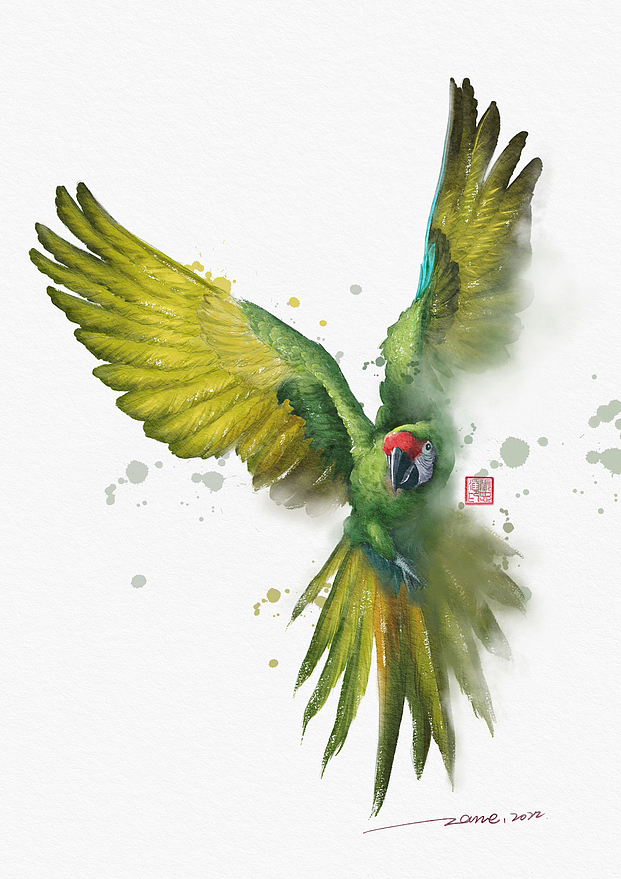 水彩插画|小动物篇