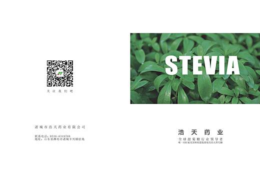 浩天药业公司宣传册