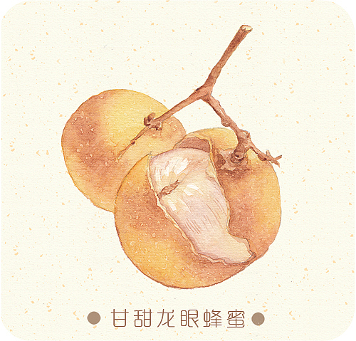 蜂蜜包装设计