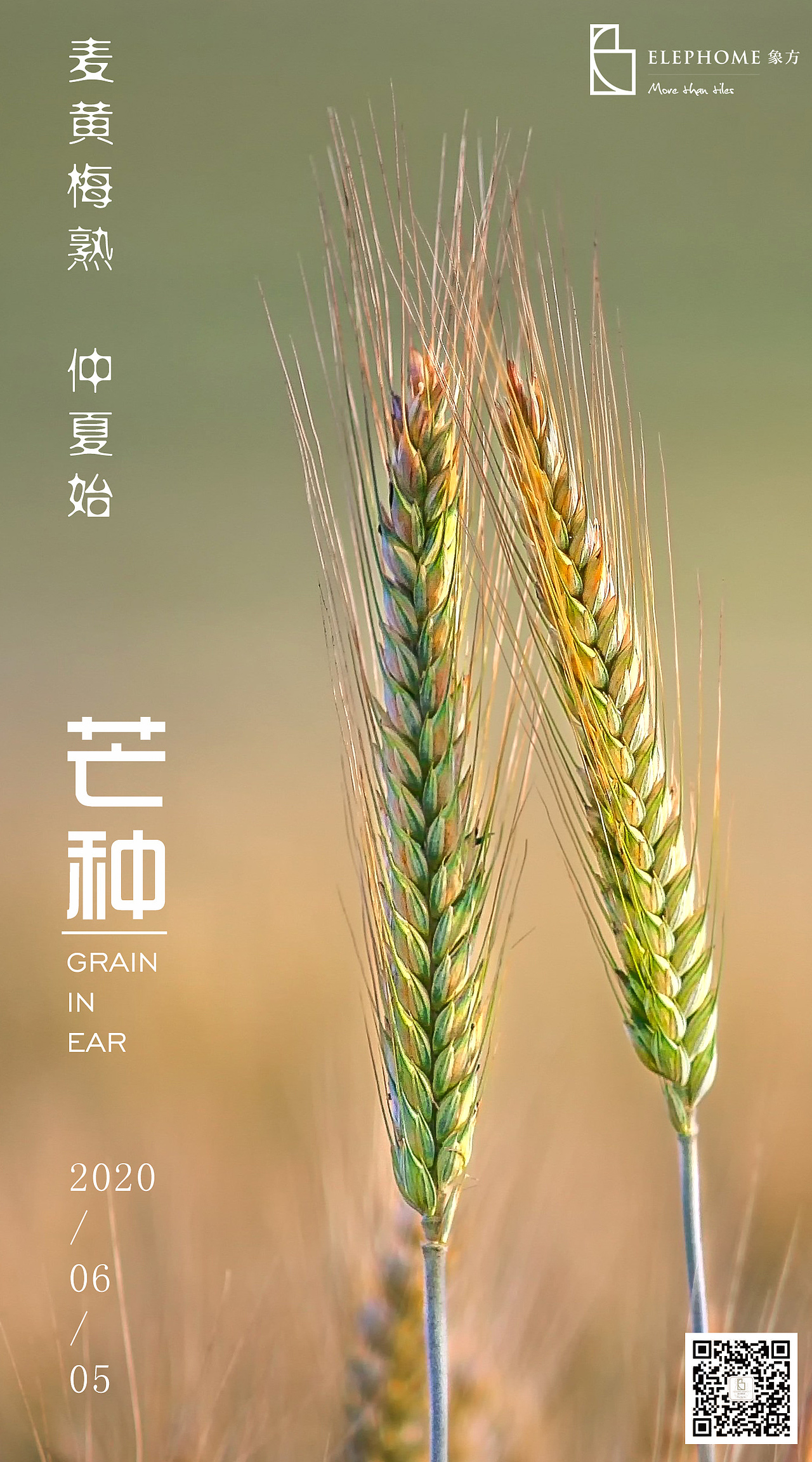 二十四节气海报（图ZMjc2MzUyMzY4） - 海报 - 站酷设计师广州中本设计原创素材 - 站酷ZCOOL