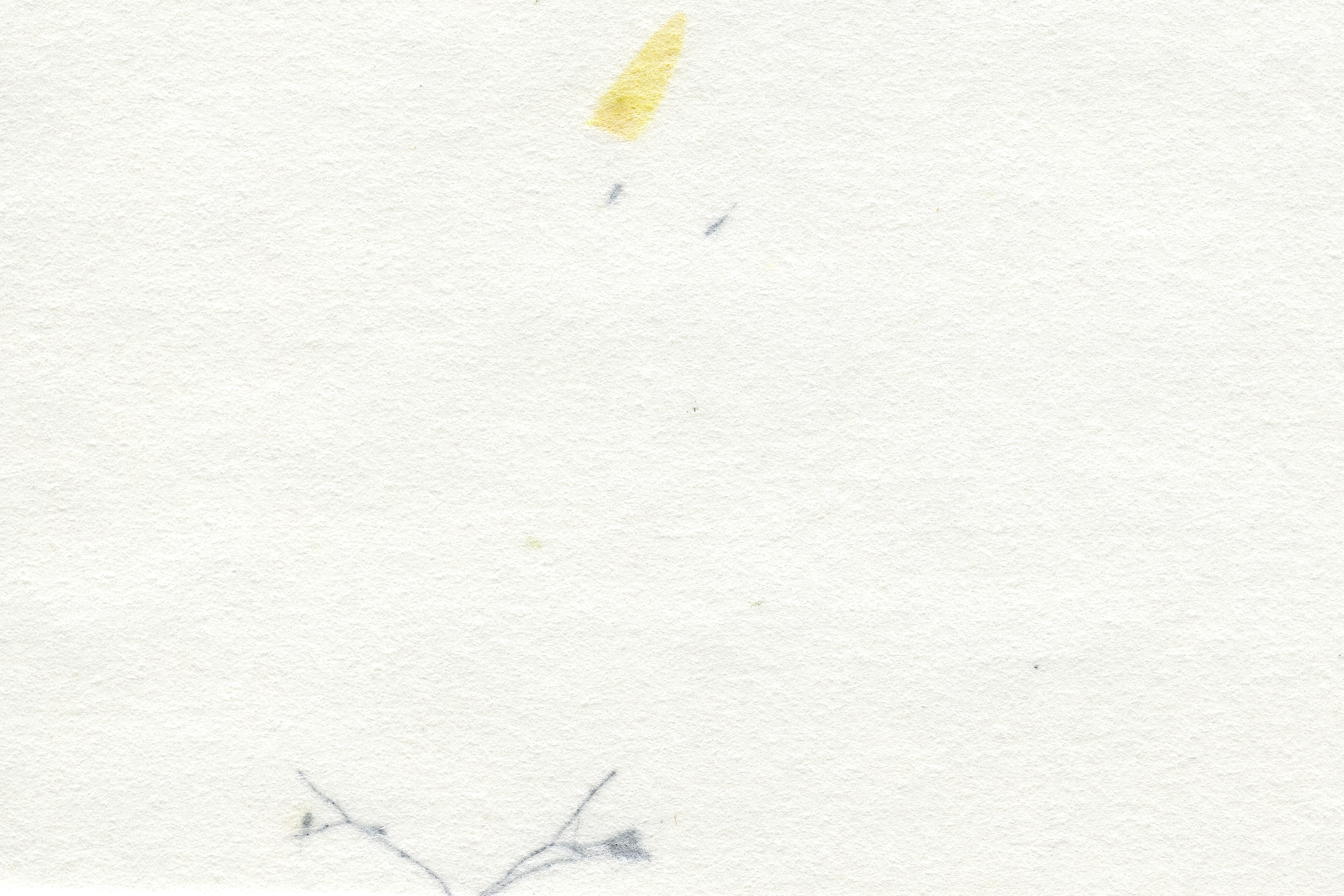 索马设计的个人主页（封面预览） - 主页封面设置 - 站酷设计师索马设计原创素材 - 站酷ZCOOL