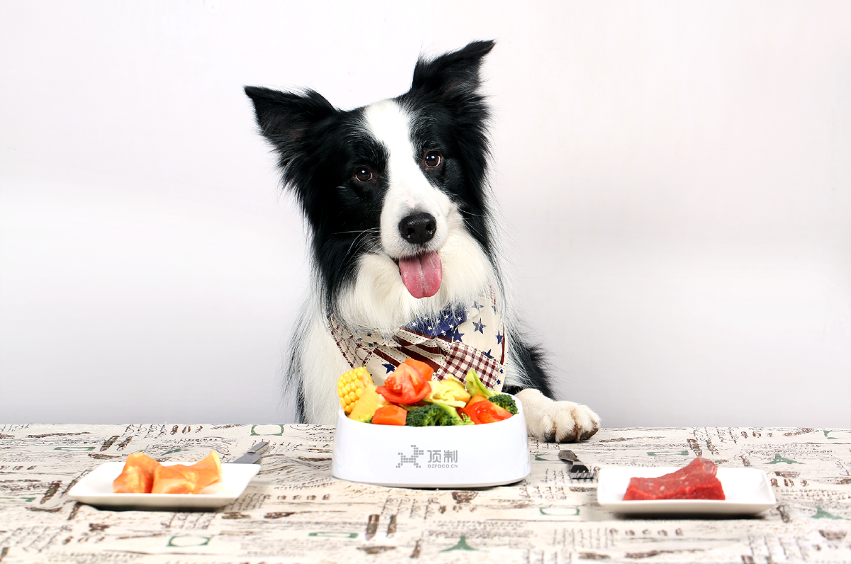 顶制鲜粮-宠物食品