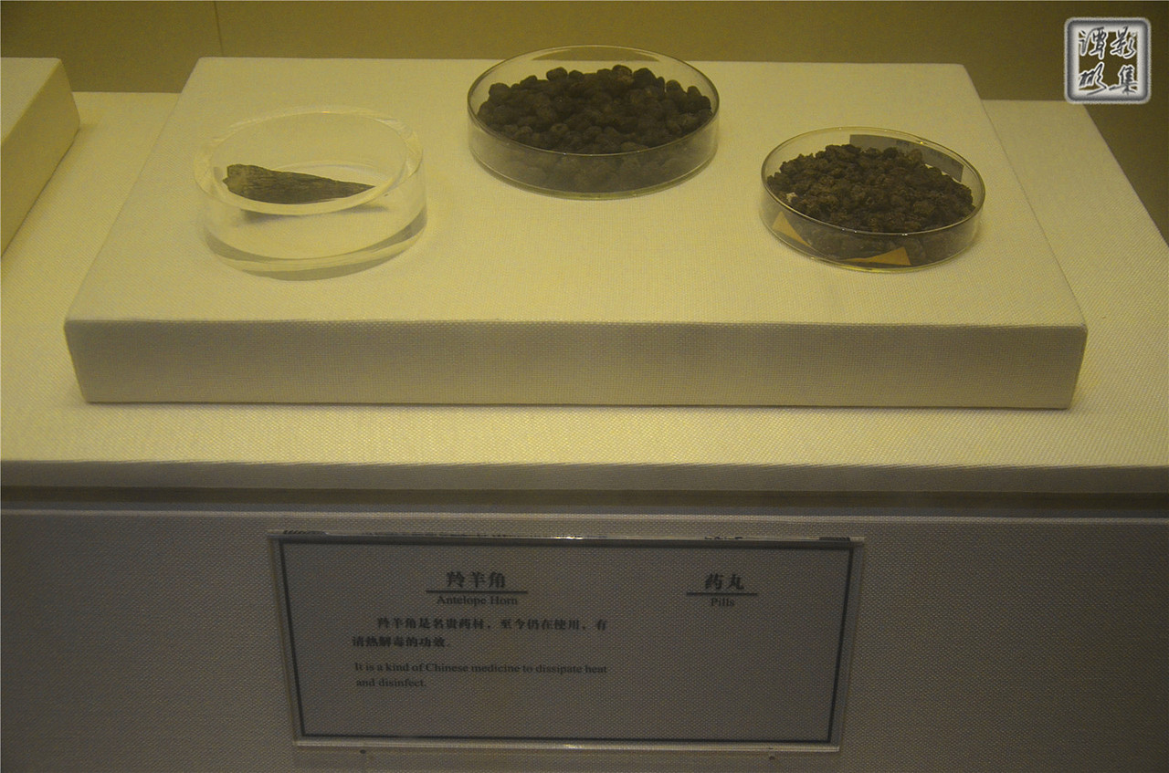 西汉南越王博物馆