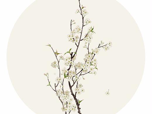 莳花。续