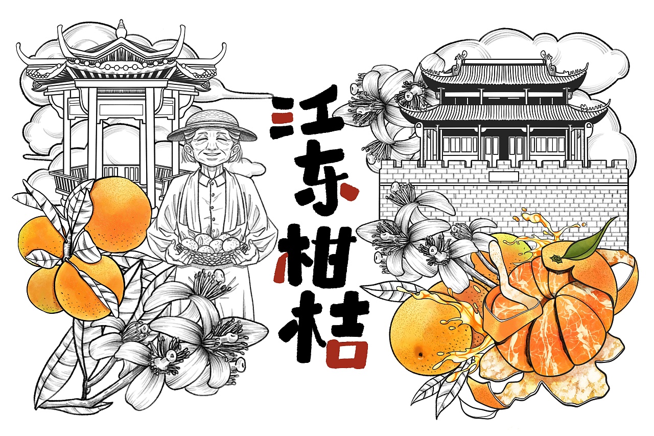 柑橘包装插画设计