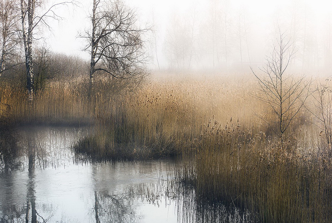 北欧摄影素材（图ZMTQ2MDk3ODg4） - 产品摄影 - 站酷设计师逻辑流的老张原创素材 - 站酷ZCOOL