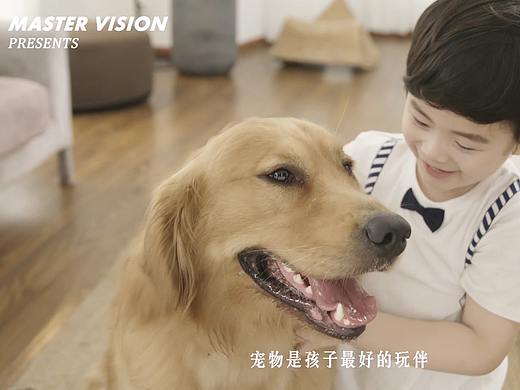 体外驱虫猫狗滴剂｜宠物产品视频拍摄｜上海魔摄视觉 
