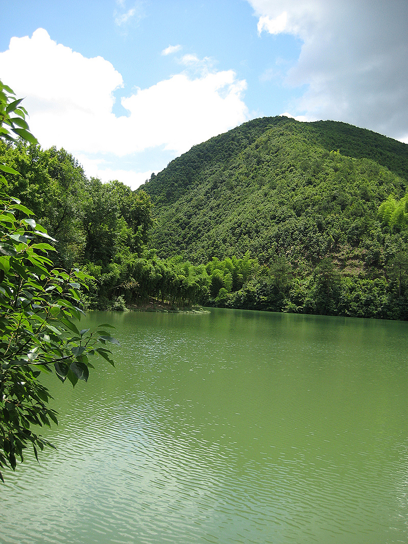 宜丰官山自然保护区图片
