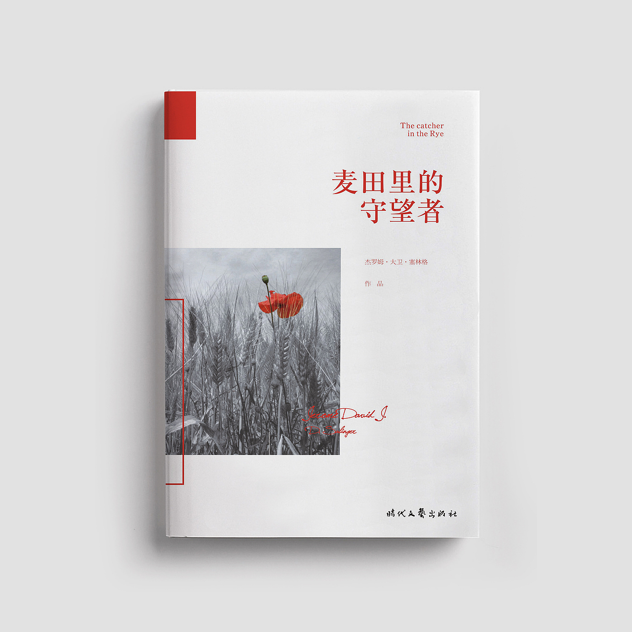 书籍封面设计合集 · 文学类(三)