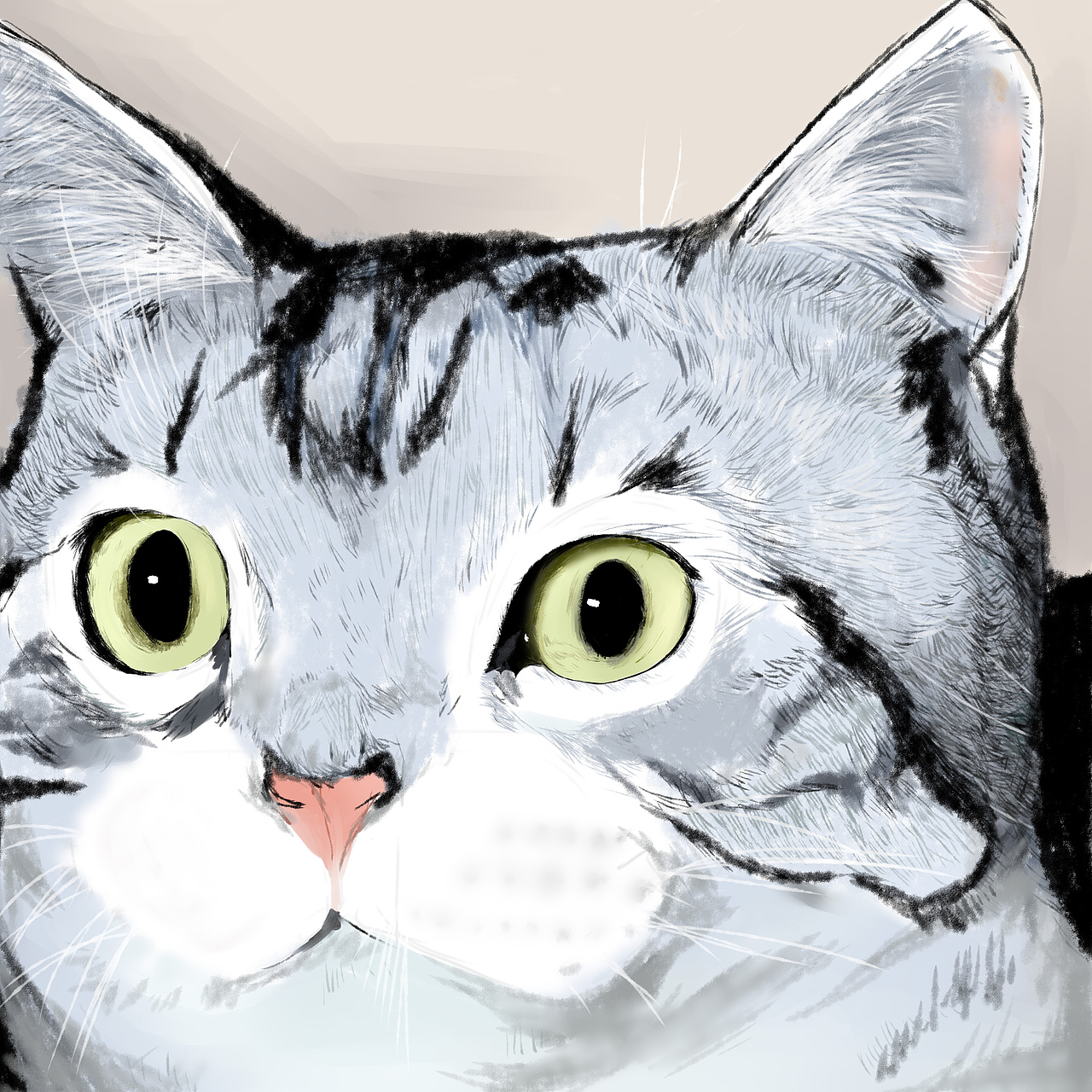 美国短毛猫|插画|新锐潮流插画|triton正在降温_原创作品-站酷zcool