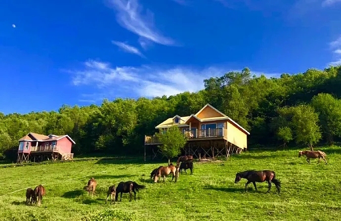 🍀醉在水草丰美的夏天里🍀