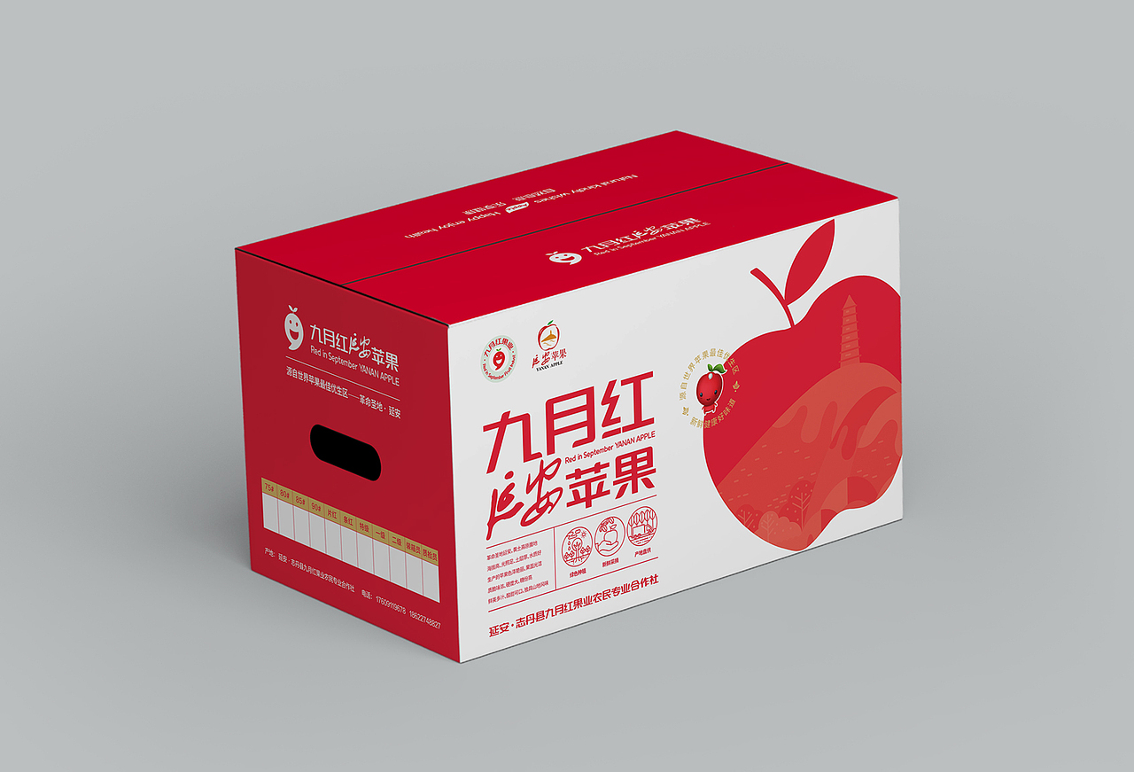 九月红延安苹果包装箱设计