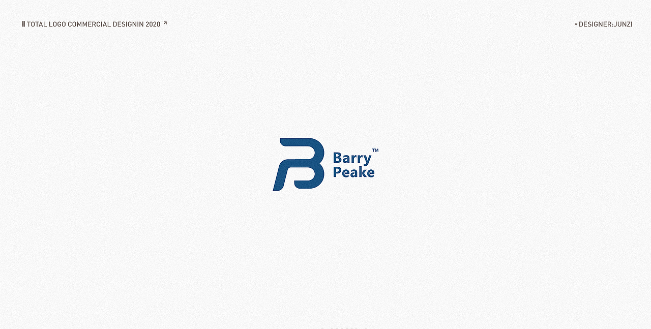 LOGO设计 LOGO合集 商标设计 简约LOGO LOGO（图ZMjEzNzU2MjQw） - Logo - 站酷设计师LOGO设计丶军子原创素材 - 站酷ZCOOL