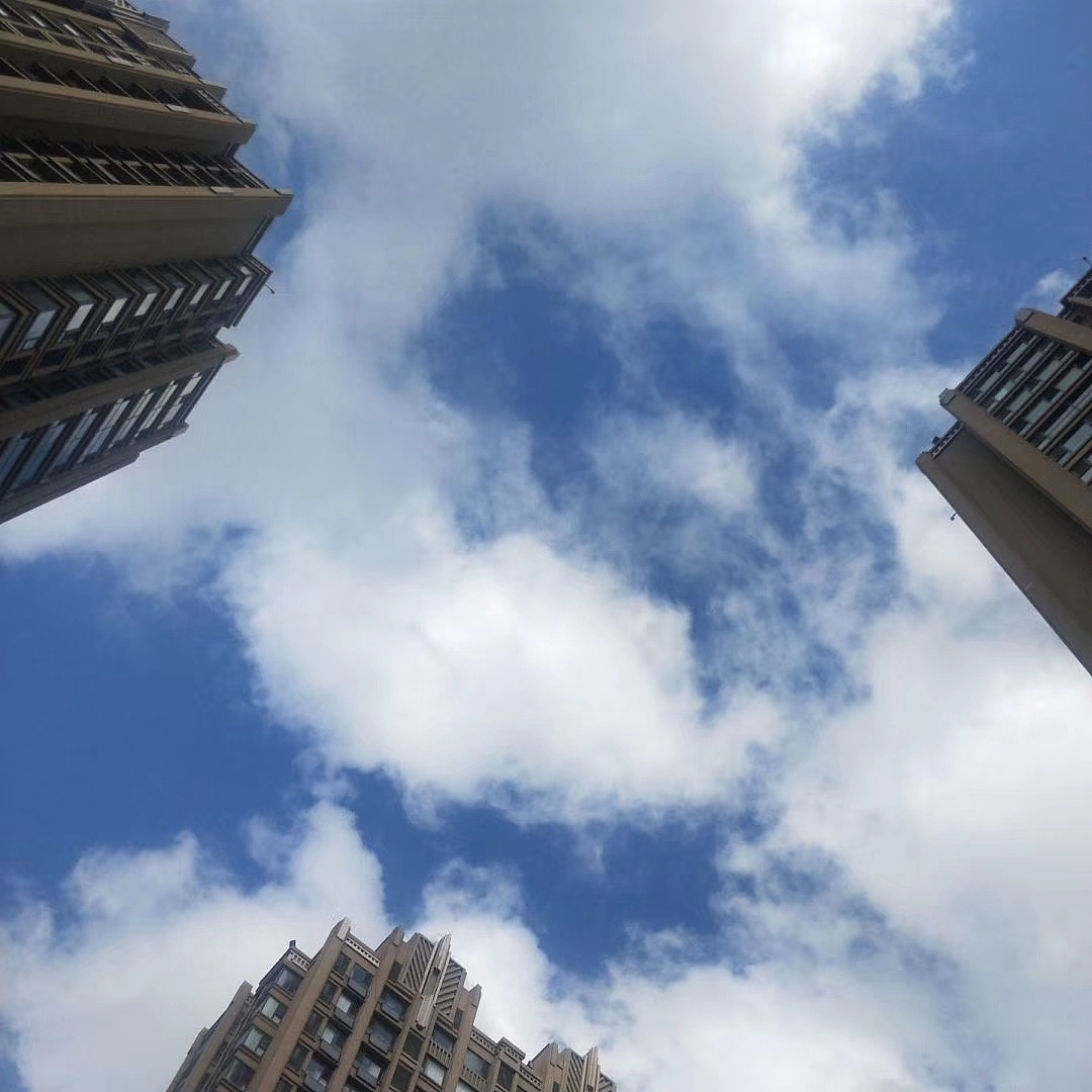 抬头仰望天空，矮身低嗅江海