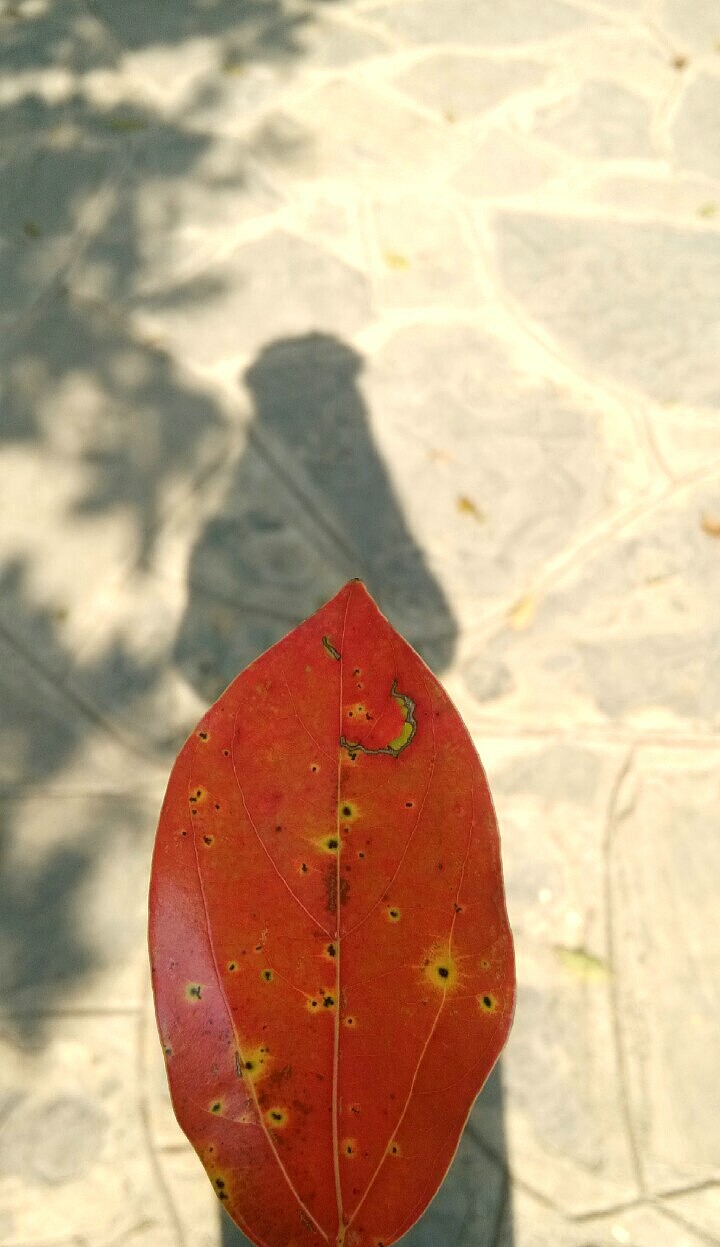 调色盘里的颜色也可以画成一幅画。