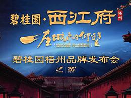 碧桂园项目-首席