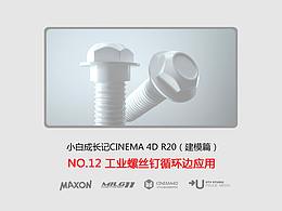 C4D建模寶典-NO12工業(yè)螺絲釘循環(huán)邊應(yīng)用