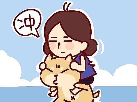 《隔壁村的小柴4》微信表情（个人主页-ZNjU1MDc4OTI=） - 网络表情 - 站酷设计师佳立原创素材 - 站酷ZCOOL