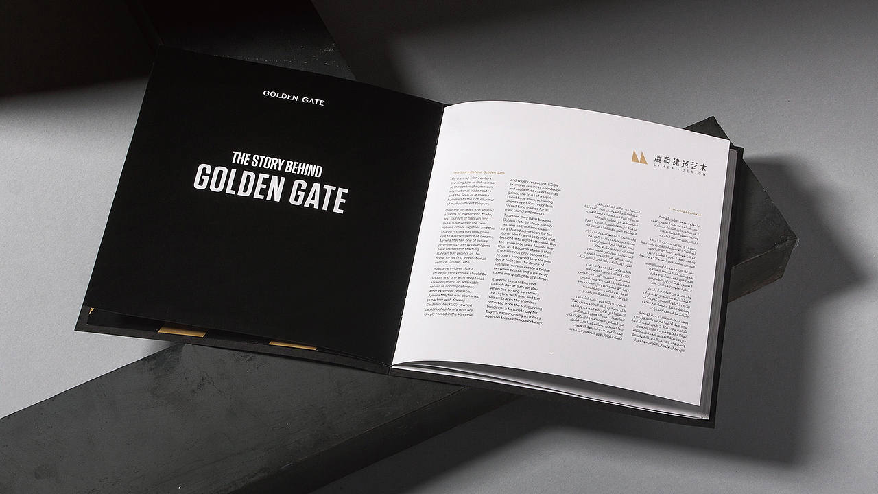 凌美国际——标志设计