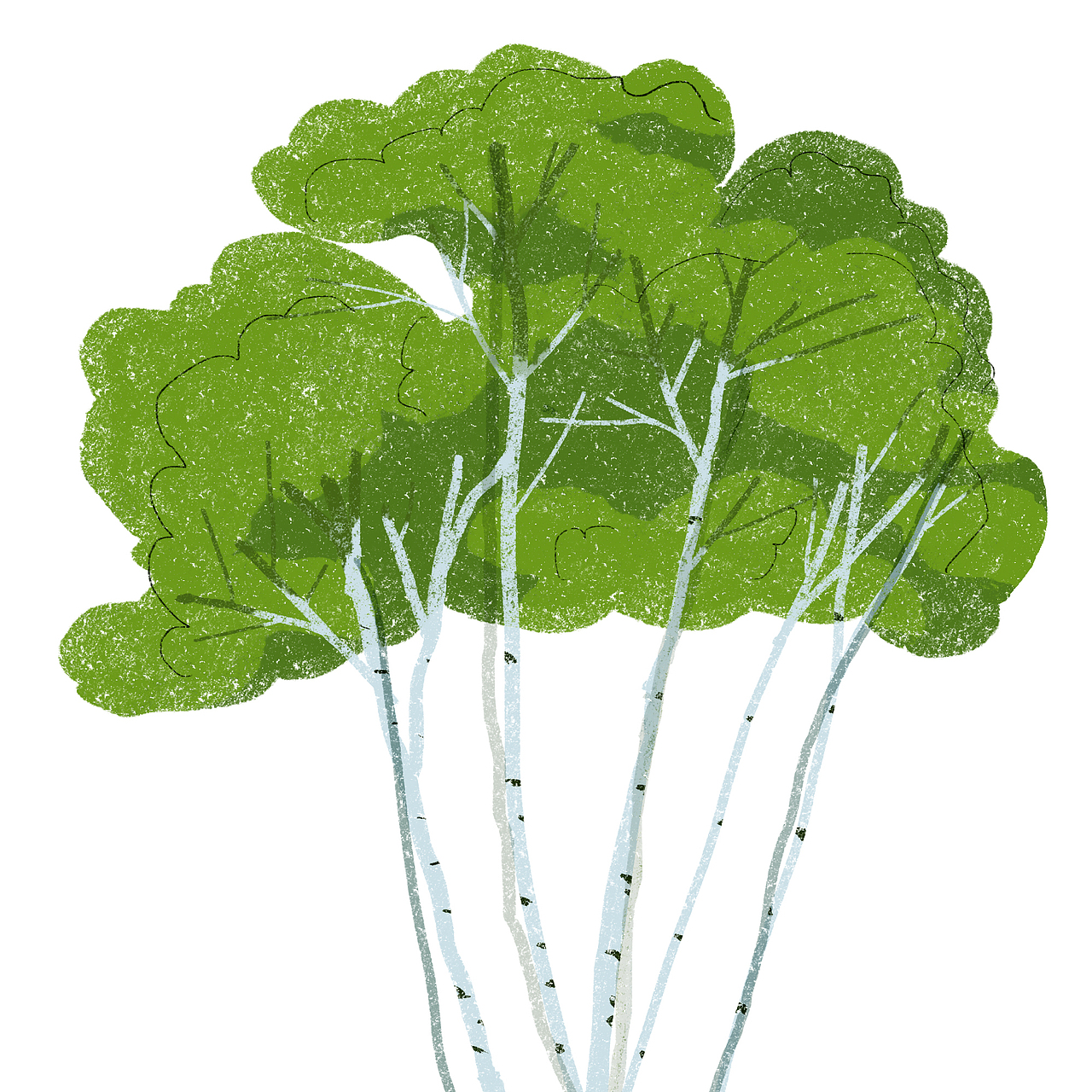 扁平插画《植物》