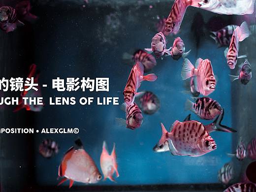 日常的镜头-电影感构图 / THROUGH THE LENS OF LIFE